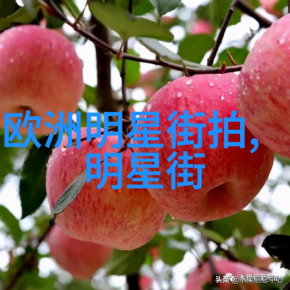 军事风范与时尚融合贝雷帽的多面魅力探索