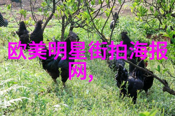 乡村风情下的都市帅哥田野里的高跟鞋
