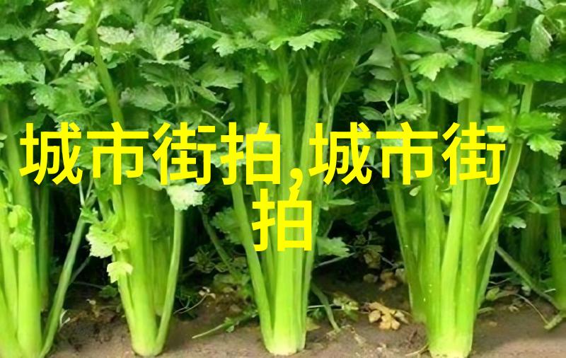 新农夫导航跟着小王子走进田野的秘密花园