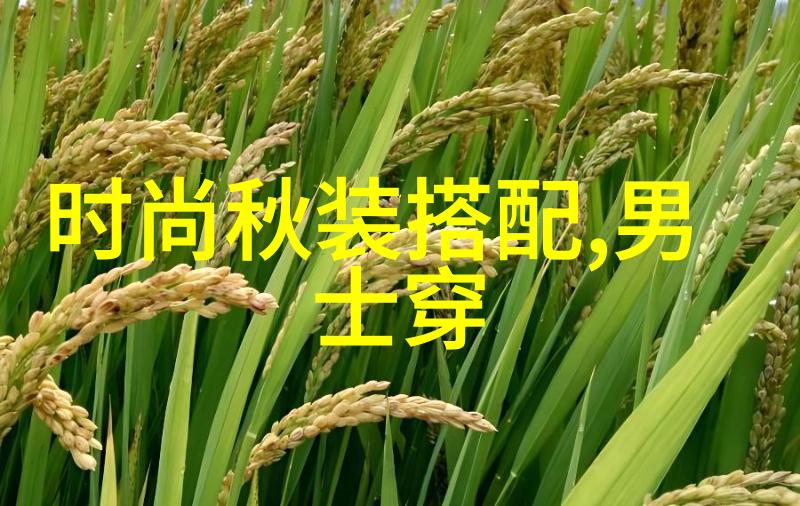 让每一天都充满活力的男士日常穿搭建议