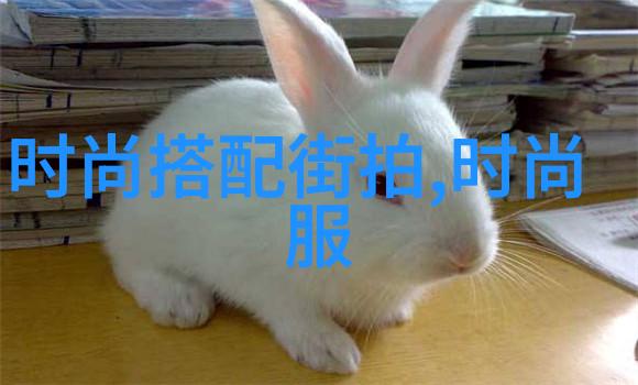 剪影式