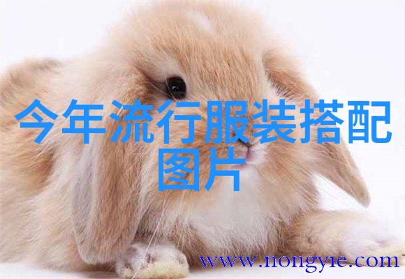 2023年男士夏季时尚趋势解析哪些元素不可错过