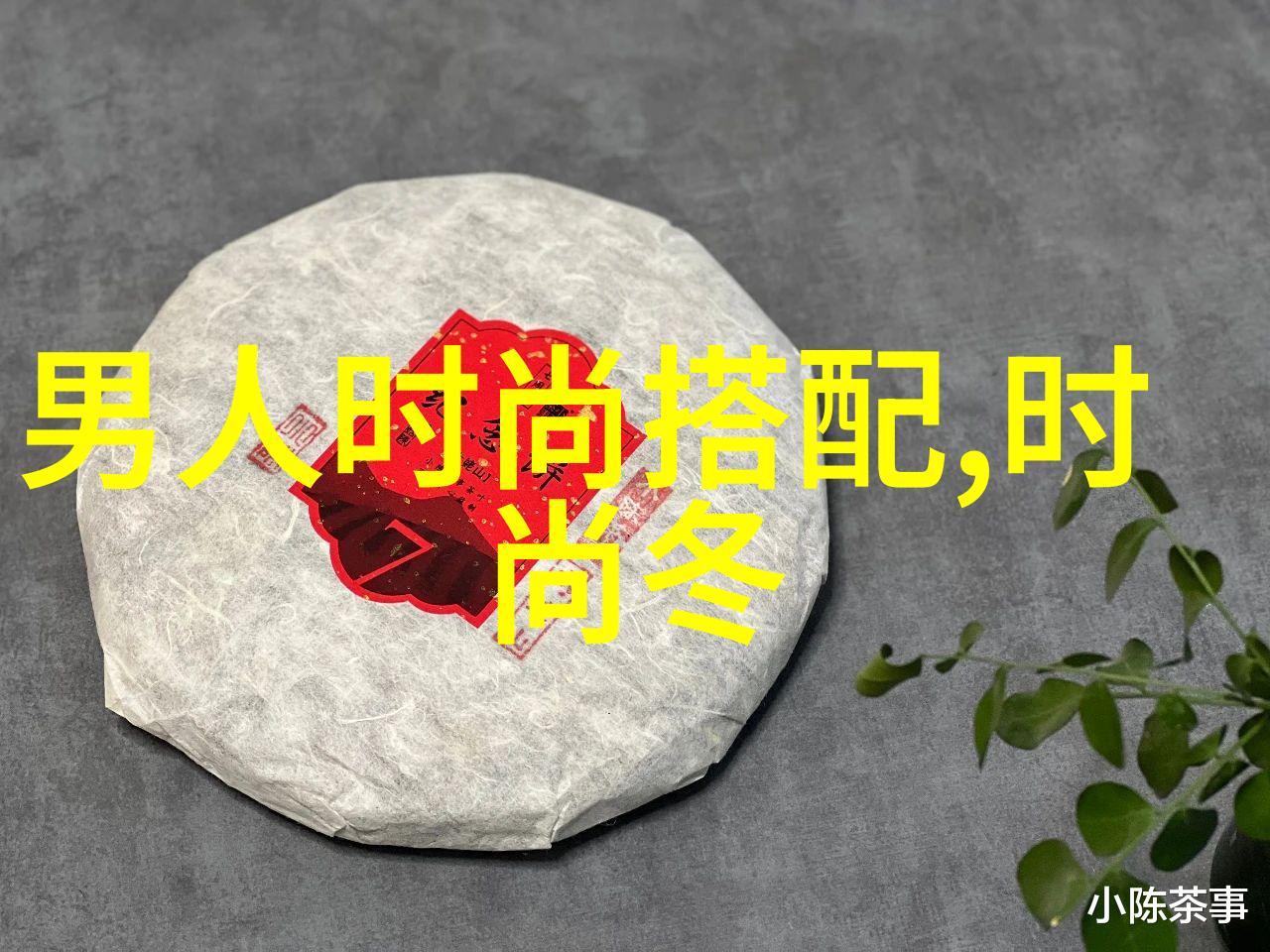 等风小说我的故事也在这片天空下飘荡