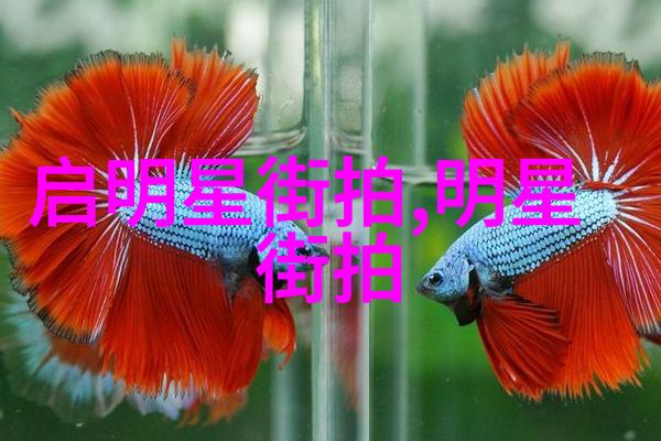 时尚界的秘密花园一家神秘时装店的谜团