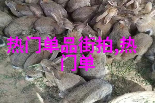 长发发型百态探究一百种样式的文化历史与审美分析