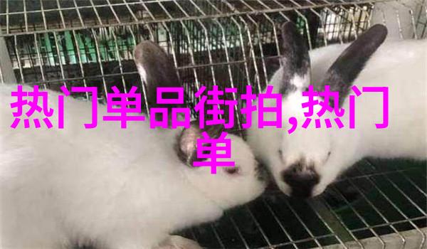 绫致时装我心中的时尚梦裙轻盈舞动的美丽篇章
