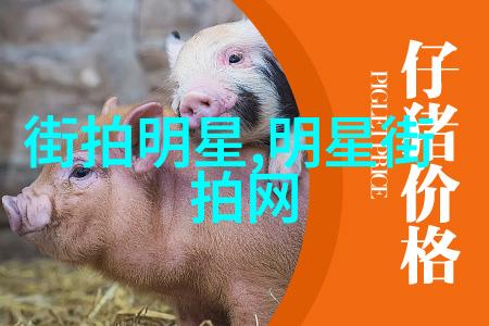 2023年流行的短发类型有哪些和它们分别代表什么风格