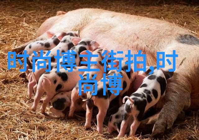 50岁邓文迪身穿杨紫同款学生外套 网友还真当自己是少女了