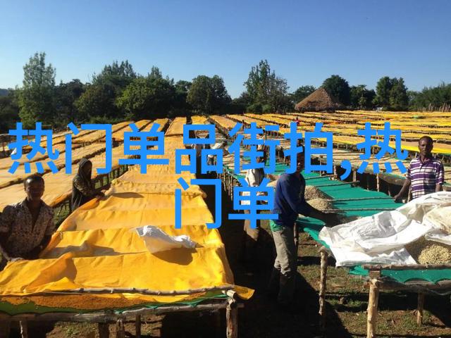 卷曲与飘逸十二个年纪的现代美人和她的传统头饰