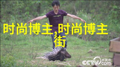 4399游戏盒安装指南详细步骤和技巧
