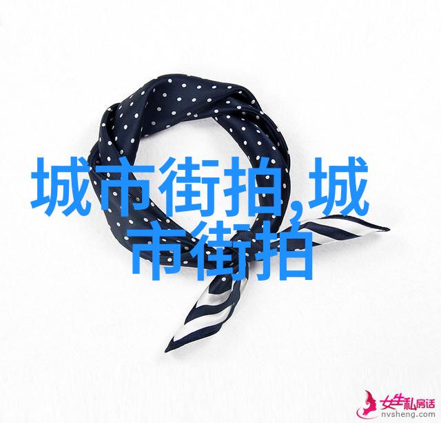 法庭上的风采她是律师界的璀璨星辰