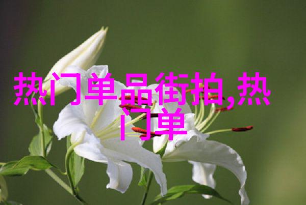 今年女孩们的发型新趋势轻盈时尚与个性魅力并重