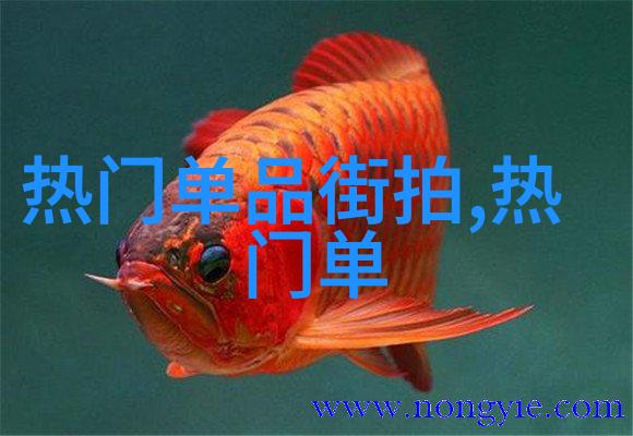 镜中花月下灯抬头继续美丽的自我探索