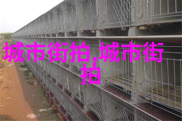 女生喊疼男生越往里寨的高清视美丽少女的娇声与深山寨里的温暖瞬间