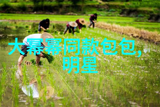 探秘30种BB形态揭秘最受欢迎的那一款