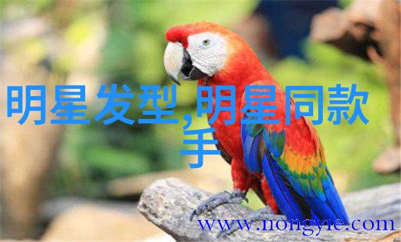 未来世界的新篇章在2199年的科技与梦想交汇处