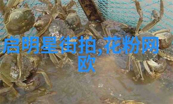 3tiles-三角地板瓷砖的魅力与实用性