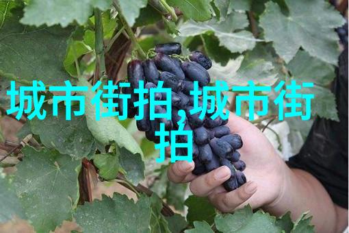 香奈儿五大经典包绽放国风童潮中国少儿模特大赛复赛夺宝结束