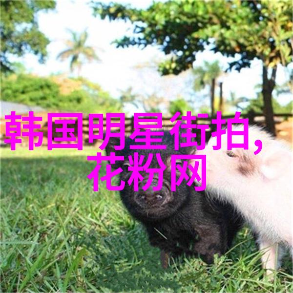 用400美元可以去哪些地方旅行