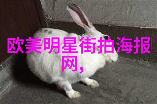 如风咬春饼传说中的美味与诗意的结合