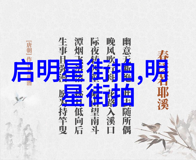 谢丽尔科尔洛杉矶街拍
