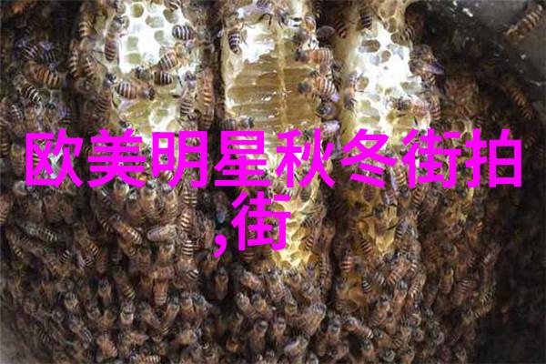 塔卡沙幻想之城的叹息