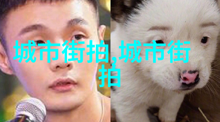 视频中的四根线一个技术挑战的故事
