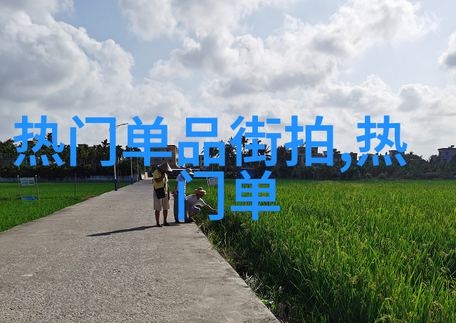 纹理与光影美发学校的艺术探索