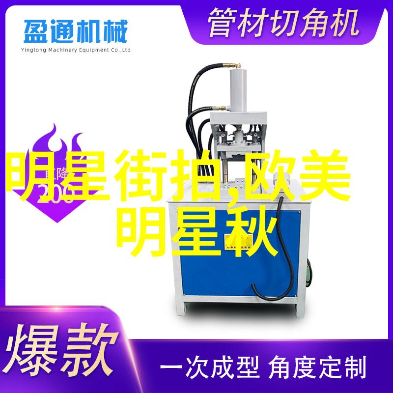 引领潮流探讨时尚潮流服装的多样性与独特魅力
