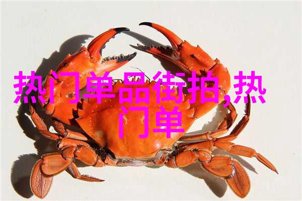 西装时尚的典范与实用之选