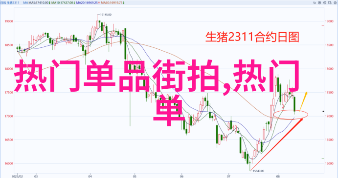 夏季穿着休闲裤时最合适的脚部选择是什么