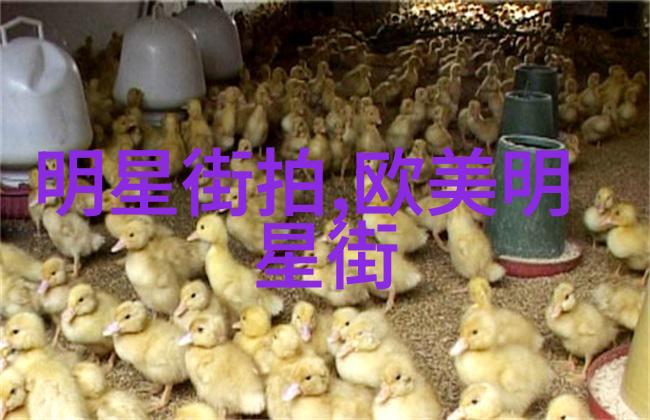 女孩们的时尚新宠2023年流行发型大集合经典捲髮波浪髮短发造型等