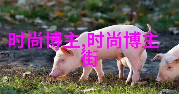 新婚被老头播种怀孕我家的秘密花园从未有过的爱情故事