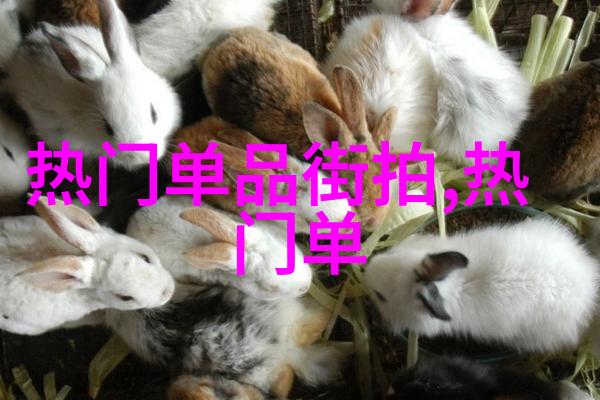 逆袭从花园小镇的草根少年到全球顶尖CEO的50岁男士短发奇迹