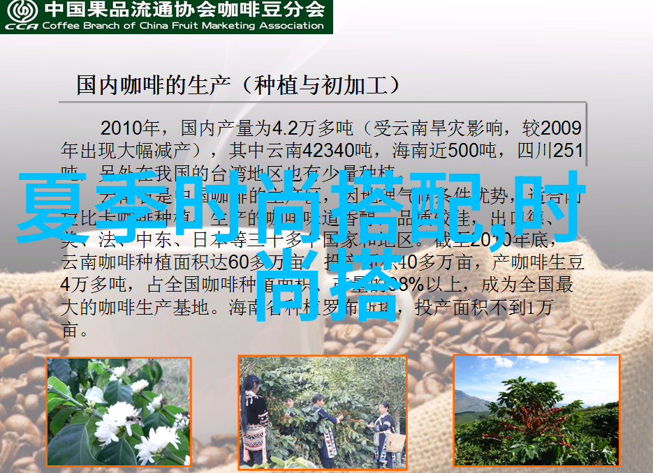 香港演员张智霖的国籍身份探究