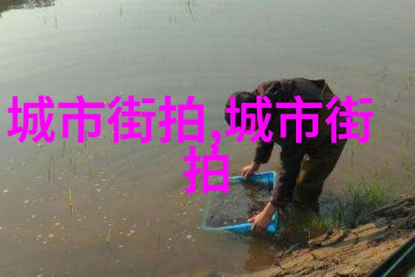 无畏探索未带课本的学习体验
