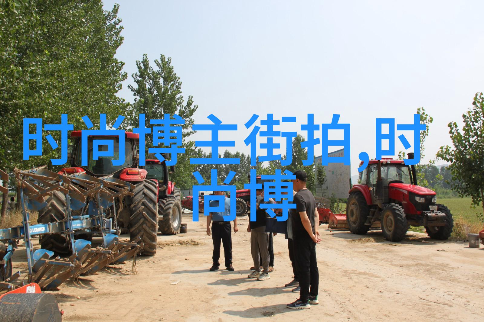 斯得雅之谜解读印度河流域古代文明的兴衰