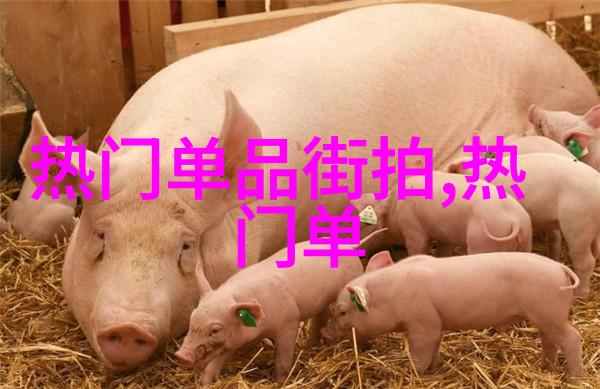 乘风雪弃吴钩的冰冷追忆