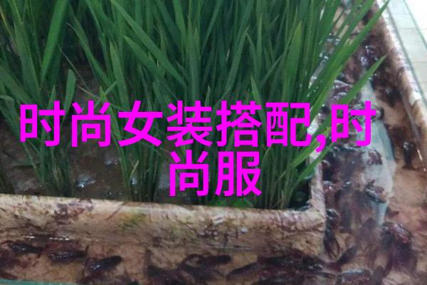 镜中花现世画最时尚发型背后的故事与技巧