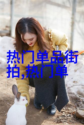 从简单到复杂玩头发技巧解析
