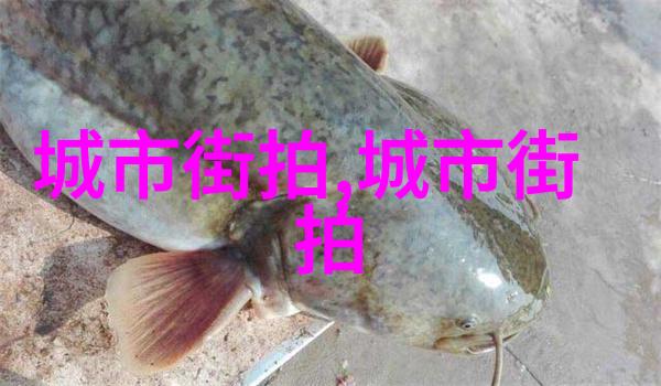39健康网健康管理全方位的健康生活服务平台