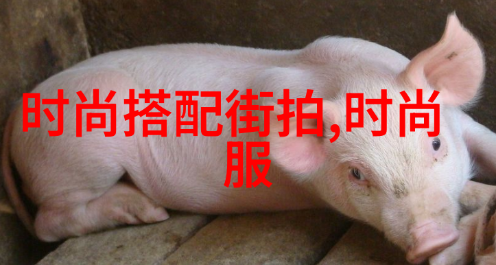 东京热N9001的无声旋律