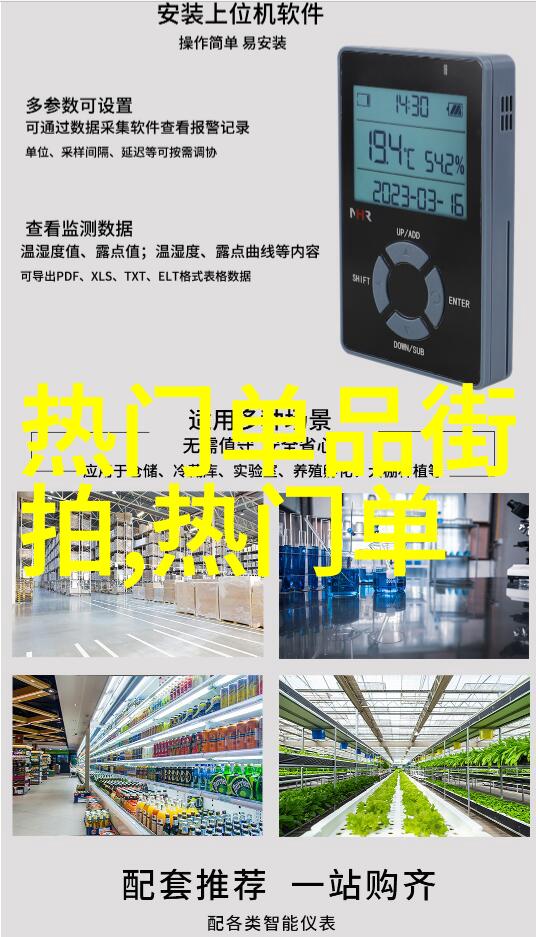 追逐时尚潮流女子如何运用图片展示自己对2022新浪漫主义理念的理解