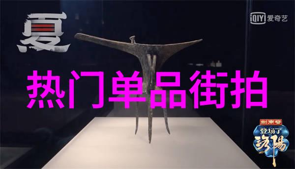 时尚搭配网探索完美风格的艺术与科