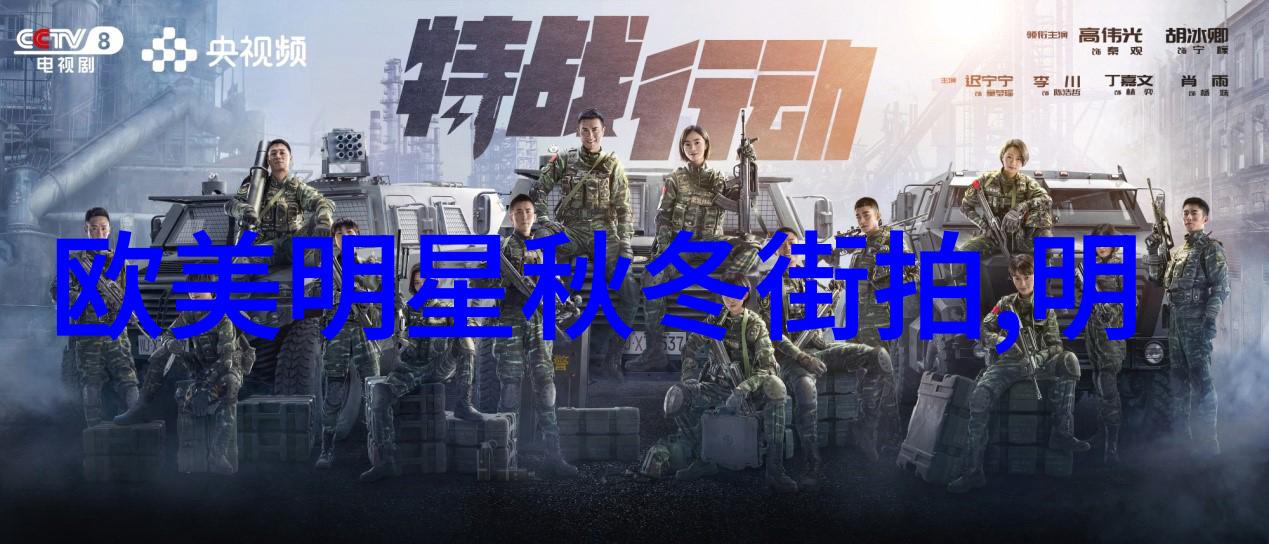 方案实施策略详细的操作计划