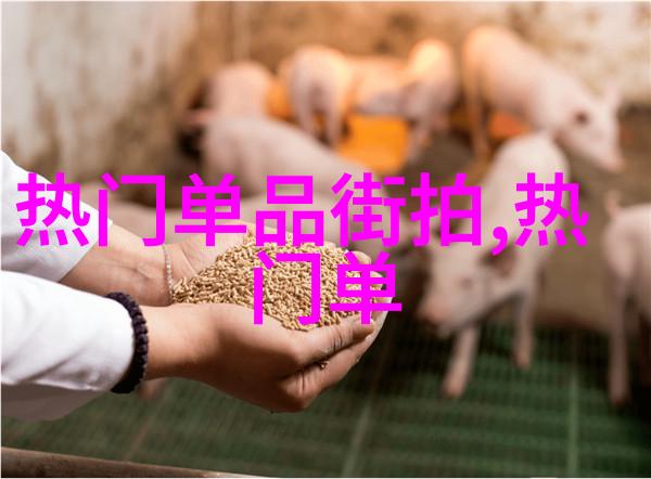 我穿不出味的衬衣如何让平凡的T恤变身时尚必备