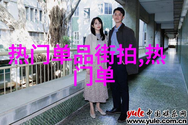 那人那村那傻子关于一个普通村庄里那个简单但又特别的傻子的人生故事