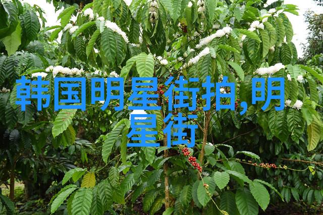 欧迪芬时空之弦上的舞蹈者