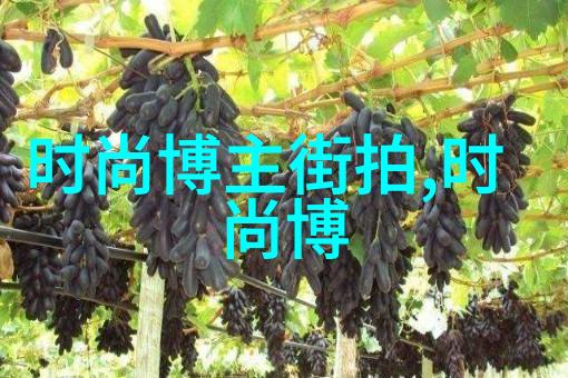 探索印度古典音乐的魅力许德拉侬的贡献与影响