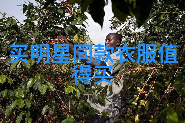 荒唐人间故事中的幽默与悲剧交织